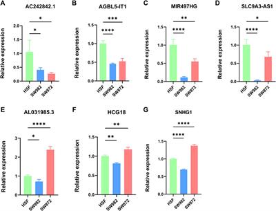 A Necroptosis-Related lncRNA Signature Predicts Prognosis and Indicates the Immune Microenvironment in Soft Tissue Sarcomas